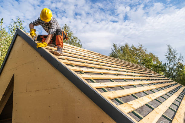 Roof Gutter Cleaning in Rincon, GA