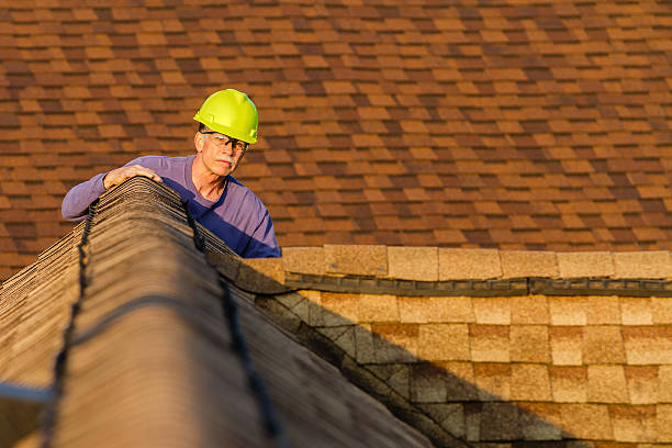 Best Roof Gutter Cleaning  in Rincon, GA