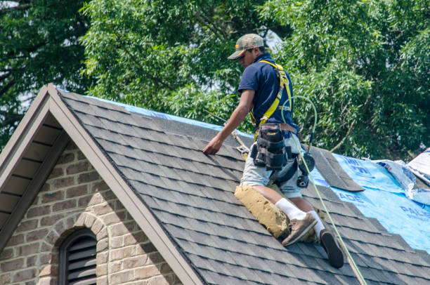 Best Sealant for Roof  in Rincon, GA