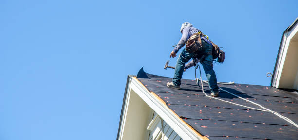 Best Roof Gutter Cleaning  in Rincon, GA